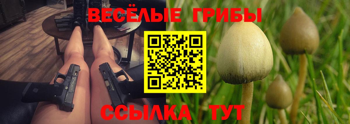 купить  сайты  Псилоцибиновые грибы прущие грибы  Вход с VPN  Тверь 